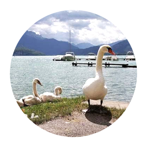 Annecy-Hyper-Ma-Tattoo2