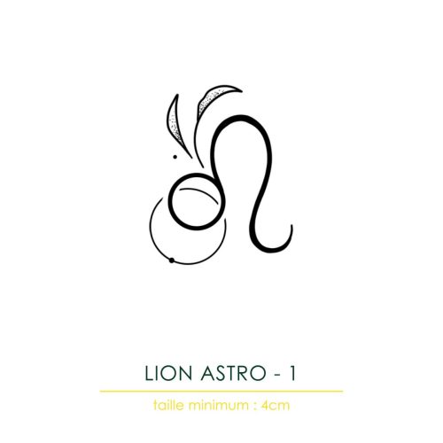 FLASH-HYPER-MA-TATTOO-wp_333