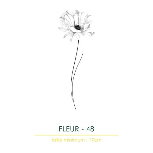 FLASH-HYPER-MA-TATTOO-wp_442